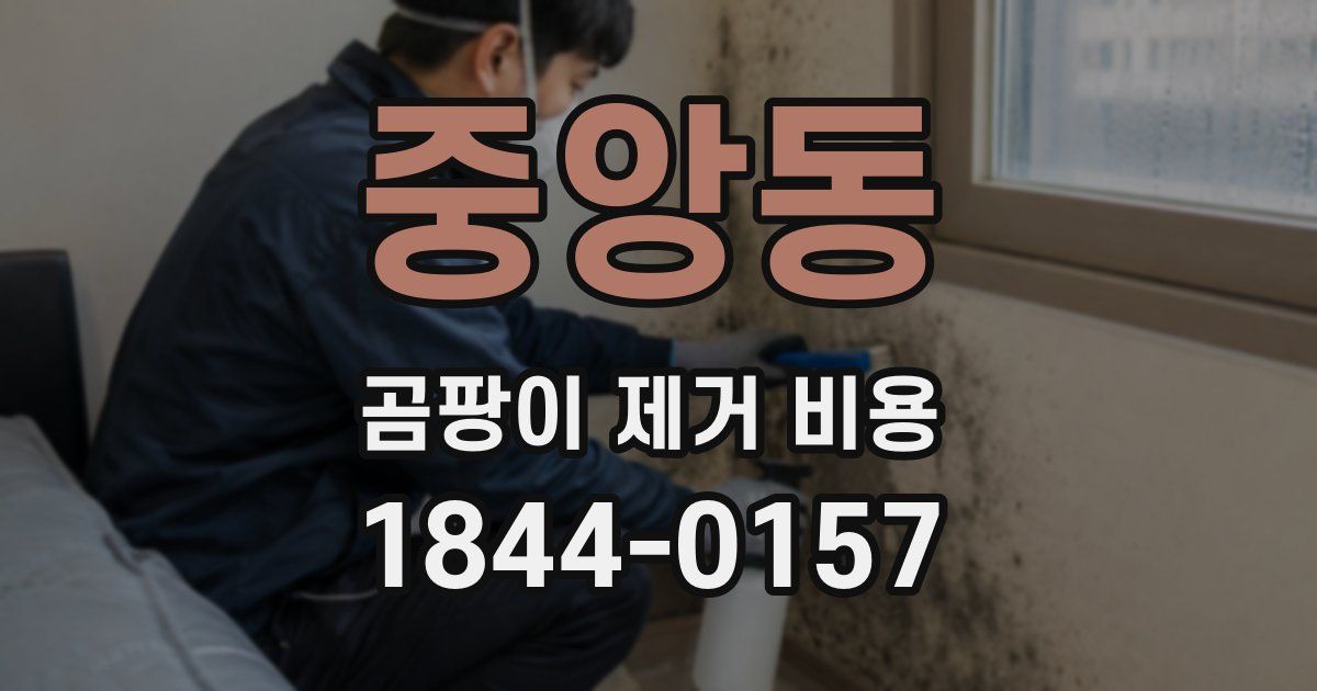 중앙동 곰팡이 제거 비용