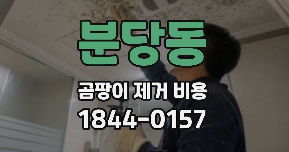분당동 곰팡이 제거 비용