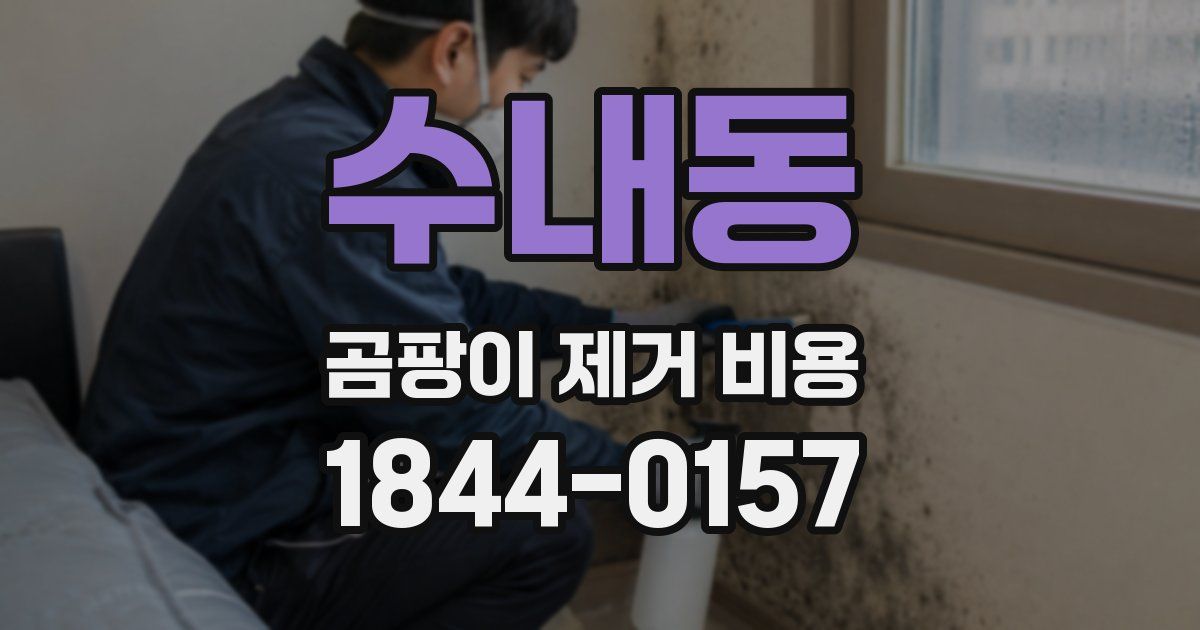 수내동 곰팡이 제거 비용