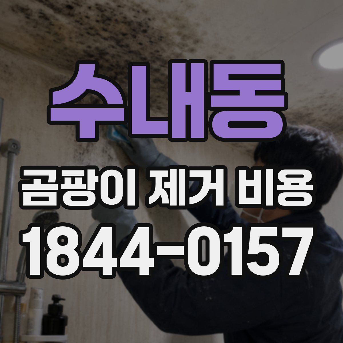 수내동 곰팡이 제거 비용