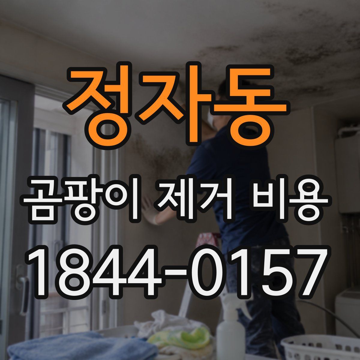 정자동 곰팡이 제거 비용