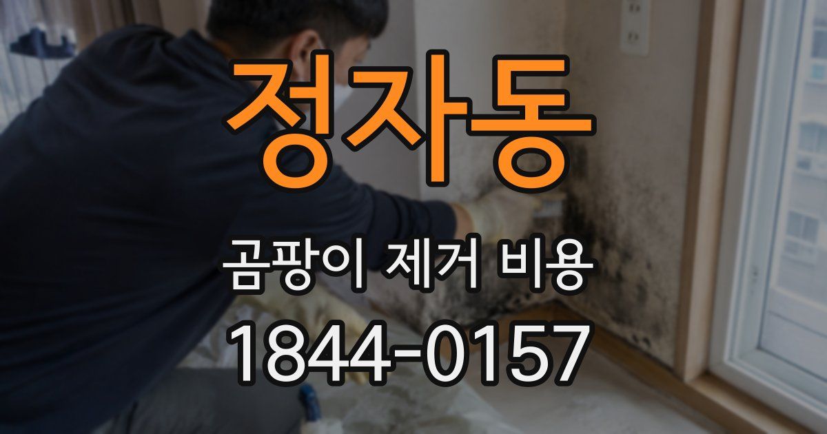 정자동 곰팡이 제거 비용