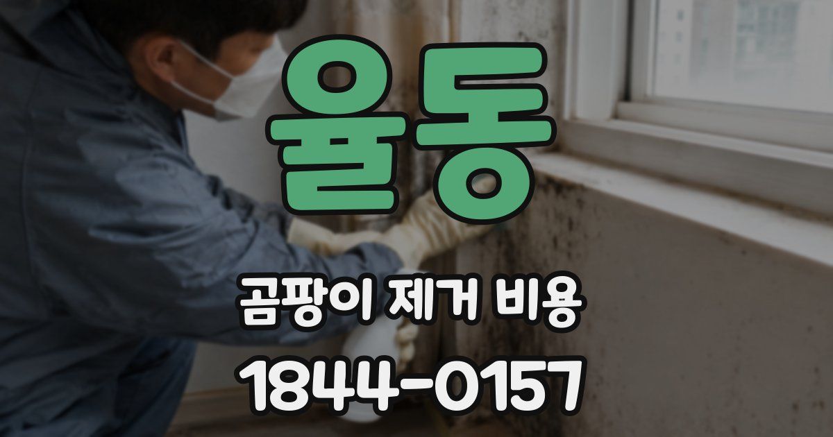 율동 곰팡이 제거 비용