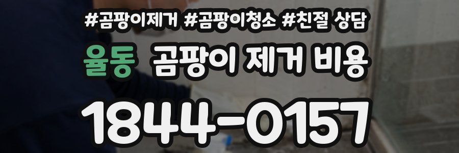 율동 곰팡이 제거 비용