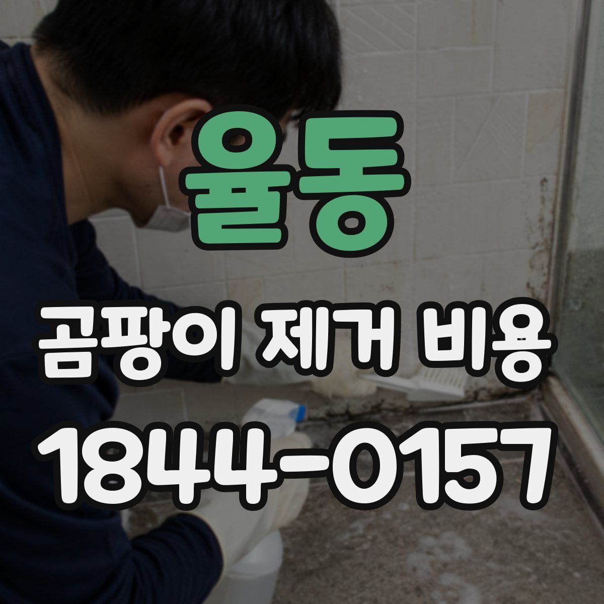 율동 곰팡이 제거 비용