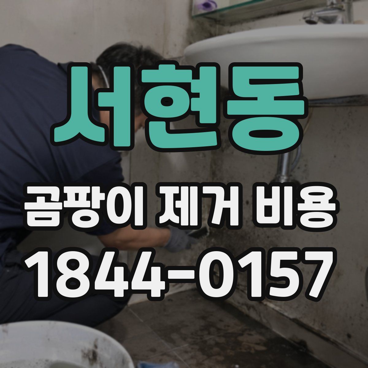 서현동 곰팡이 제거 비용