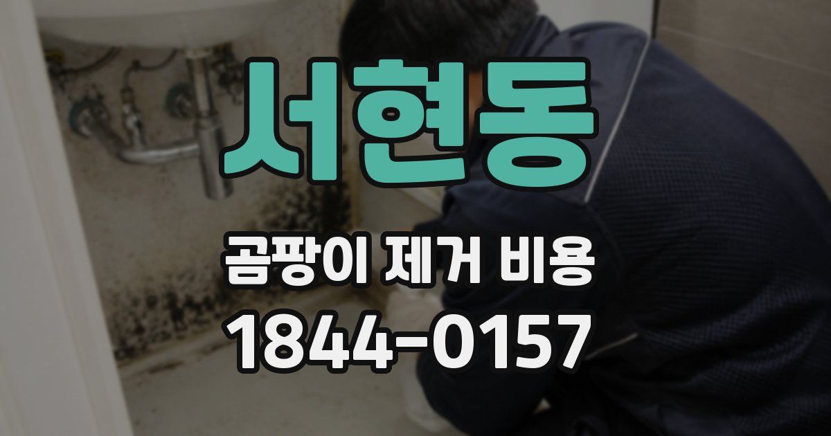 서현동 곰팡이 제거 비용