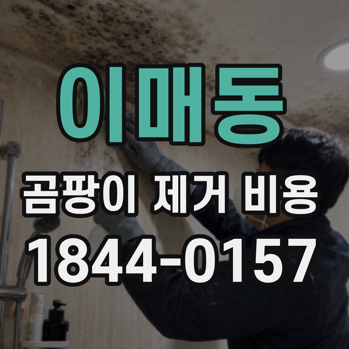 이매동 곰팡이 제거 비용