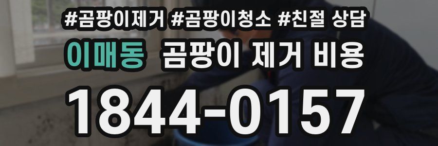이매동 곰팡이 제거 비용