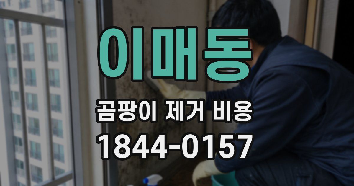 이매동 곰팡이 제거 비용