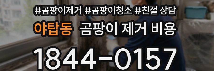야탑동 곰팡이 제거 비용