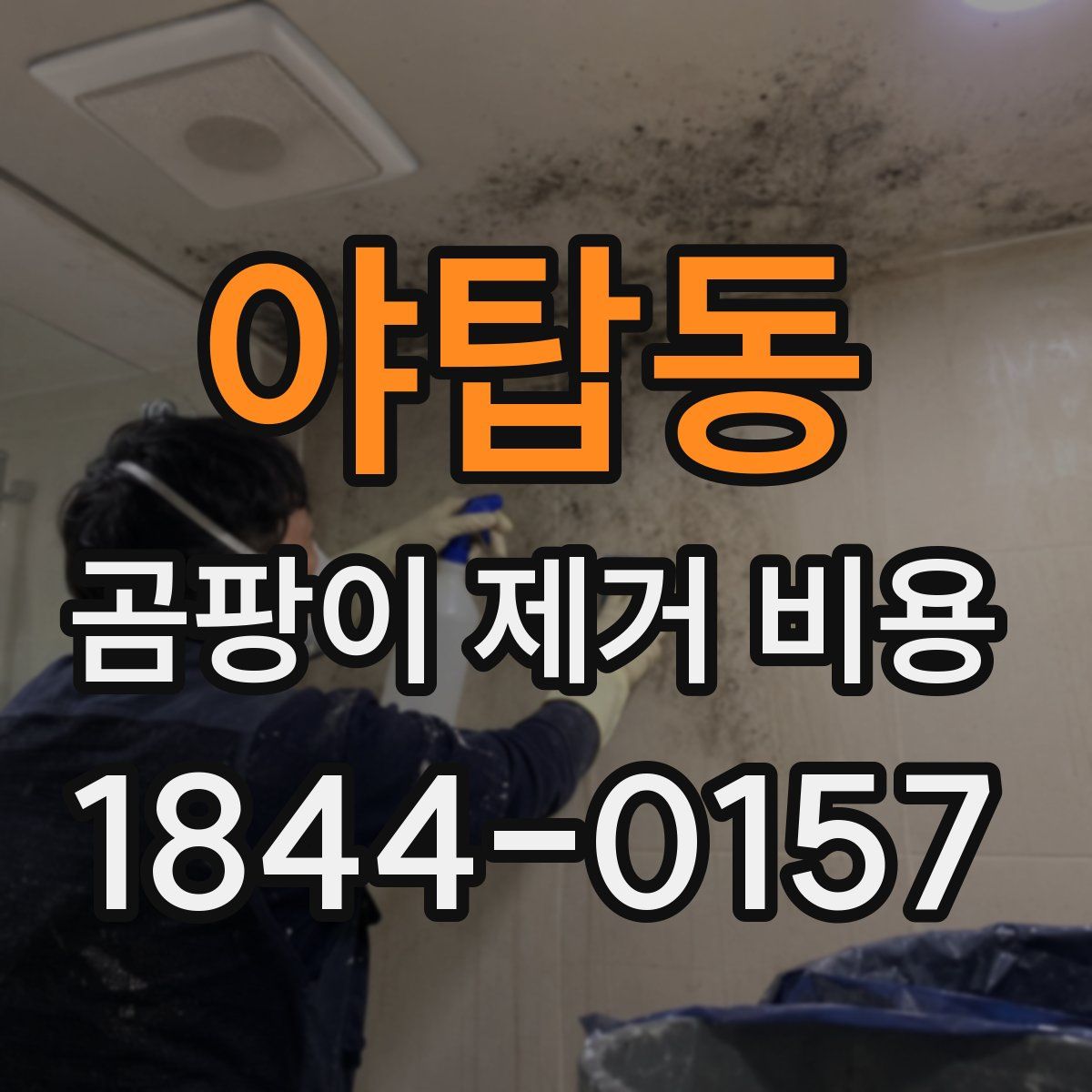 야탑동 곰팡이 제거 비용
