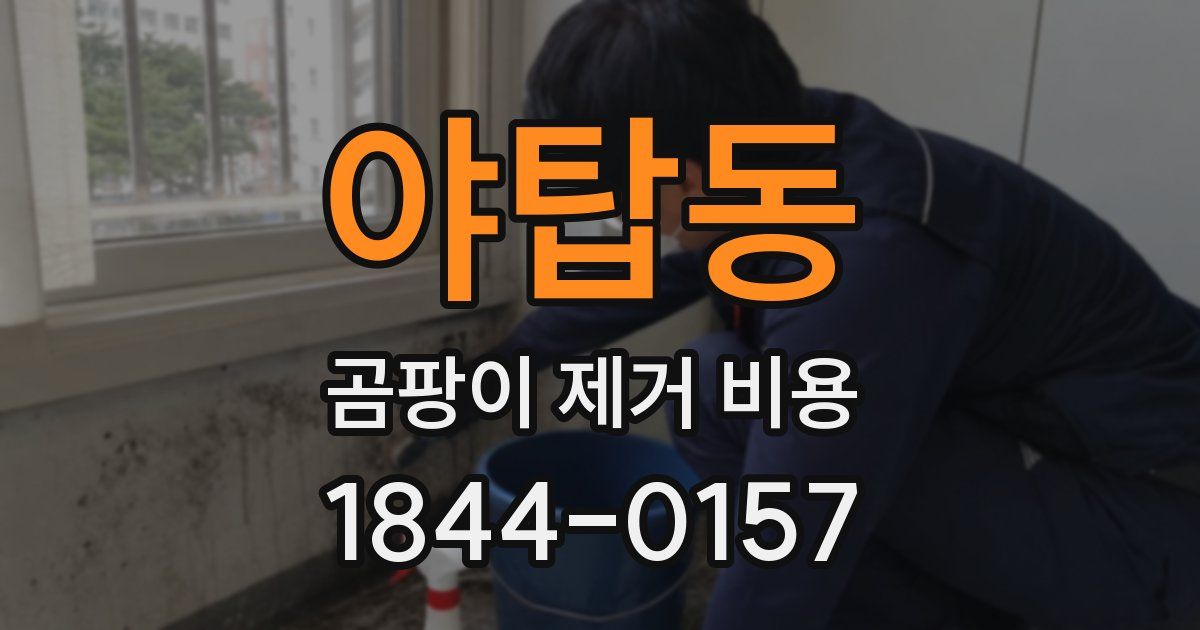 야탑동 곰팡이 제거 비용