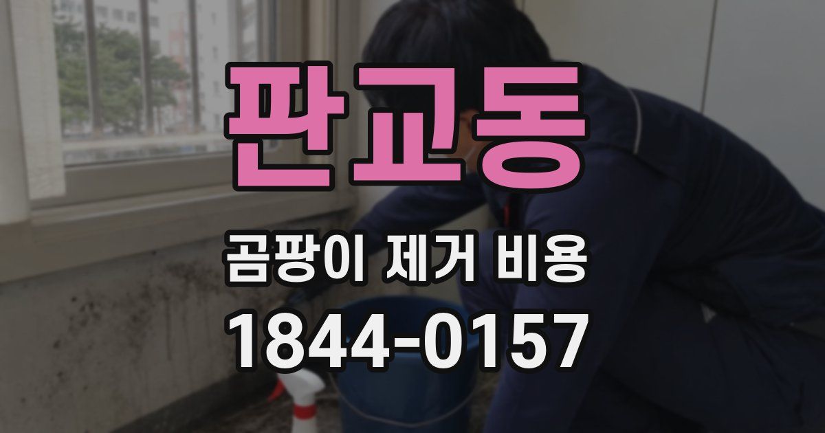 판교동 곰팡이 제거 비용