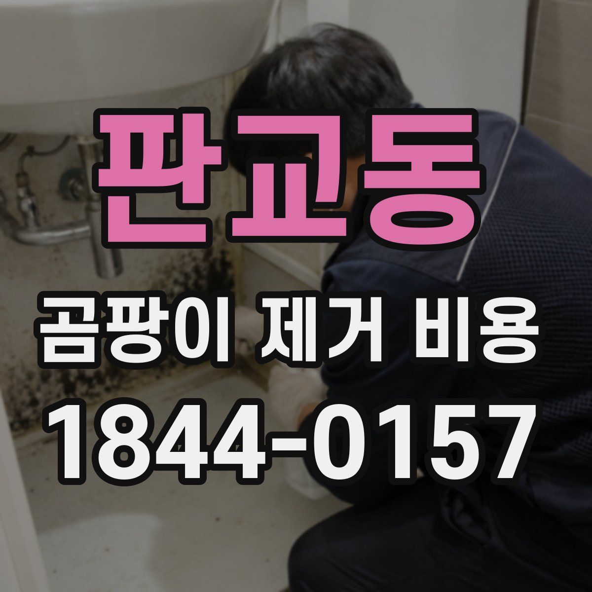 판교동 곰팡이 제거 비용