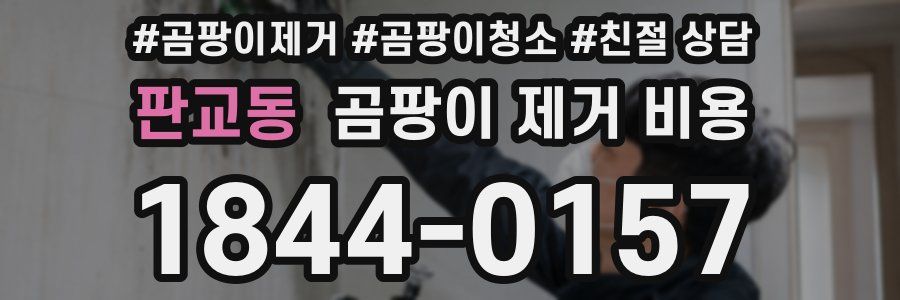 판교동 곰팡이 제거 비용