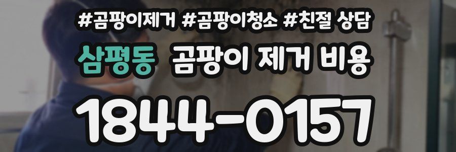 삼평동 곰팡이 제거 비용