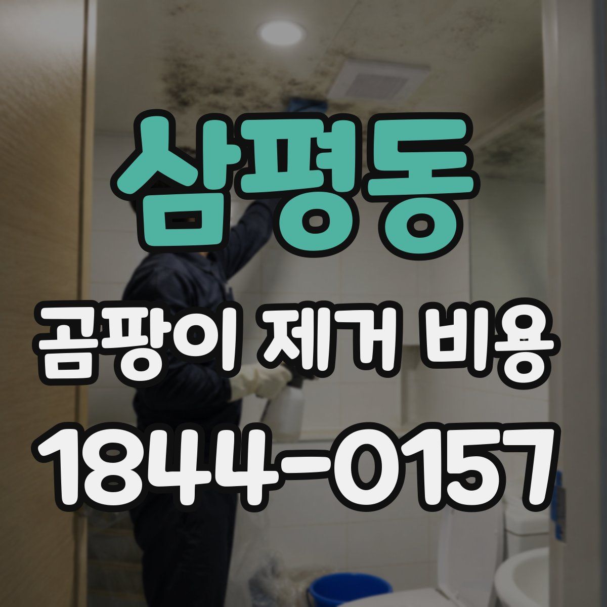 삼평동 곰팡이 제거 비용
