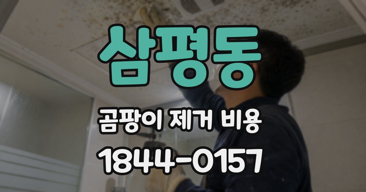 삼평동 곰팡이 제거 비용