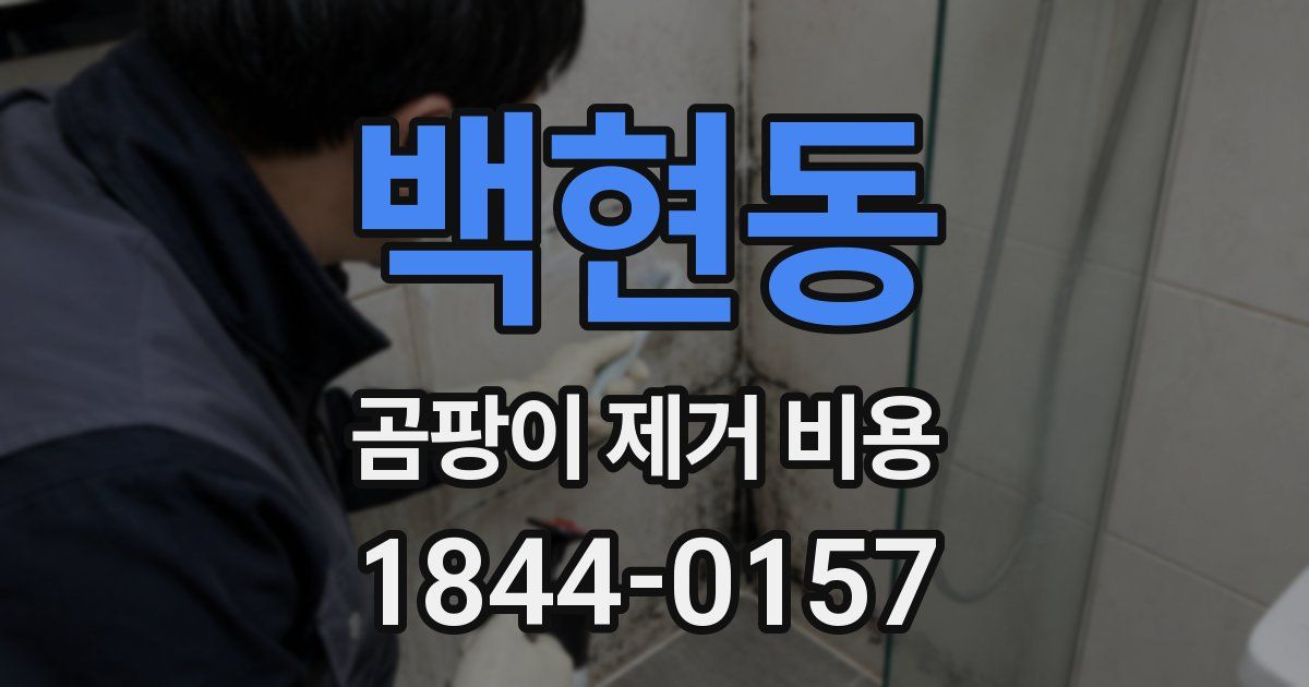 백현동 곰팡이 제거 비용