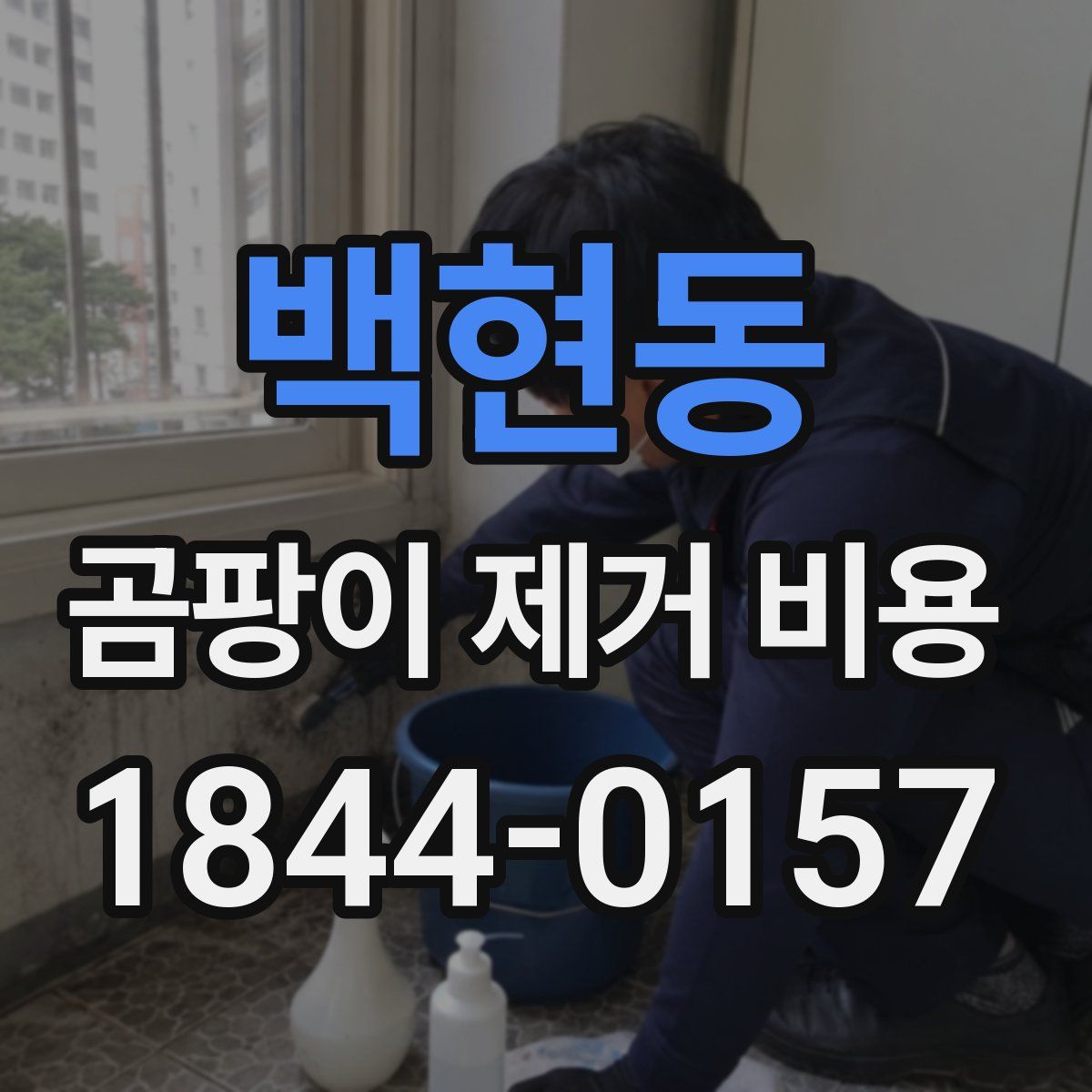 백현동 곰팡이 제거 비용