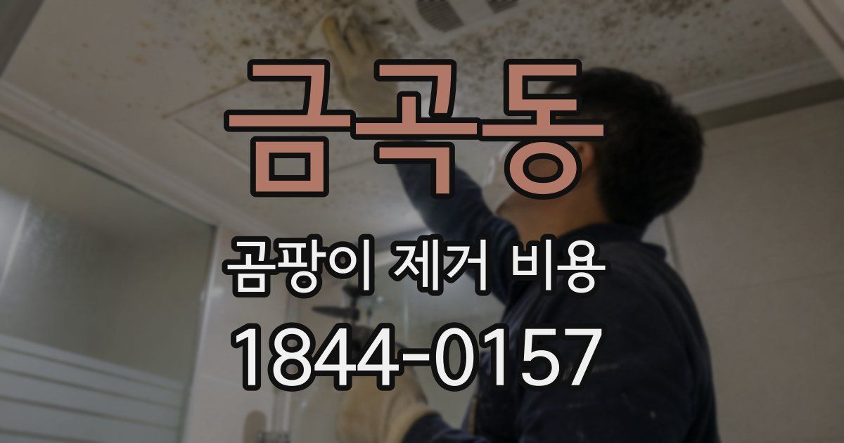 금곡동 곰팡이 제거 비용