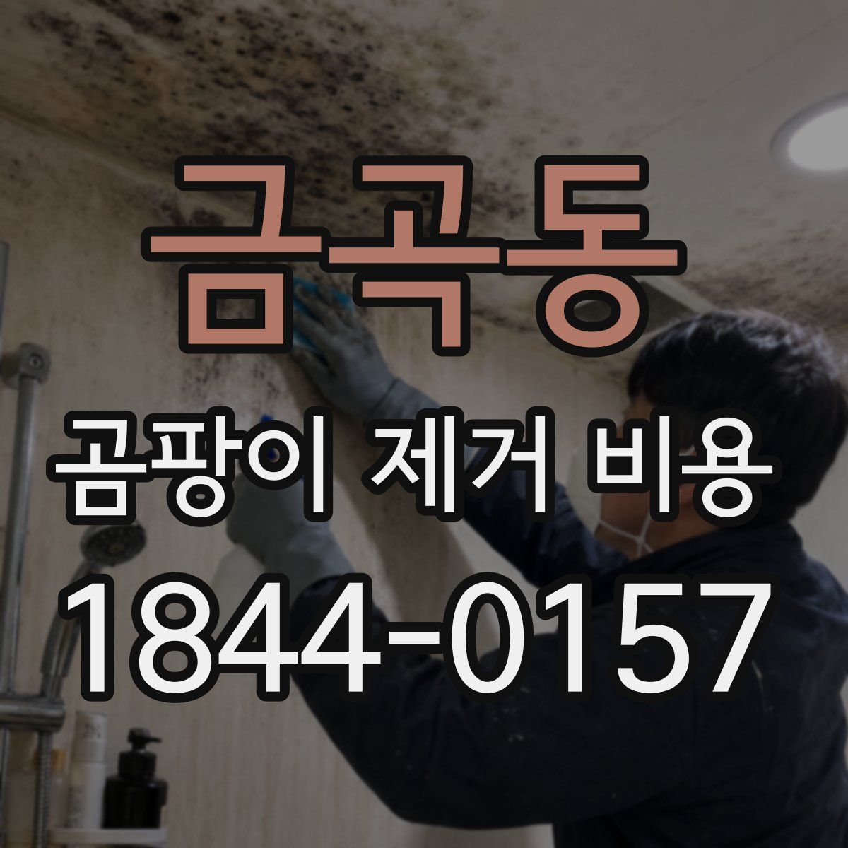 금곡동 곰팡이 제거 비용