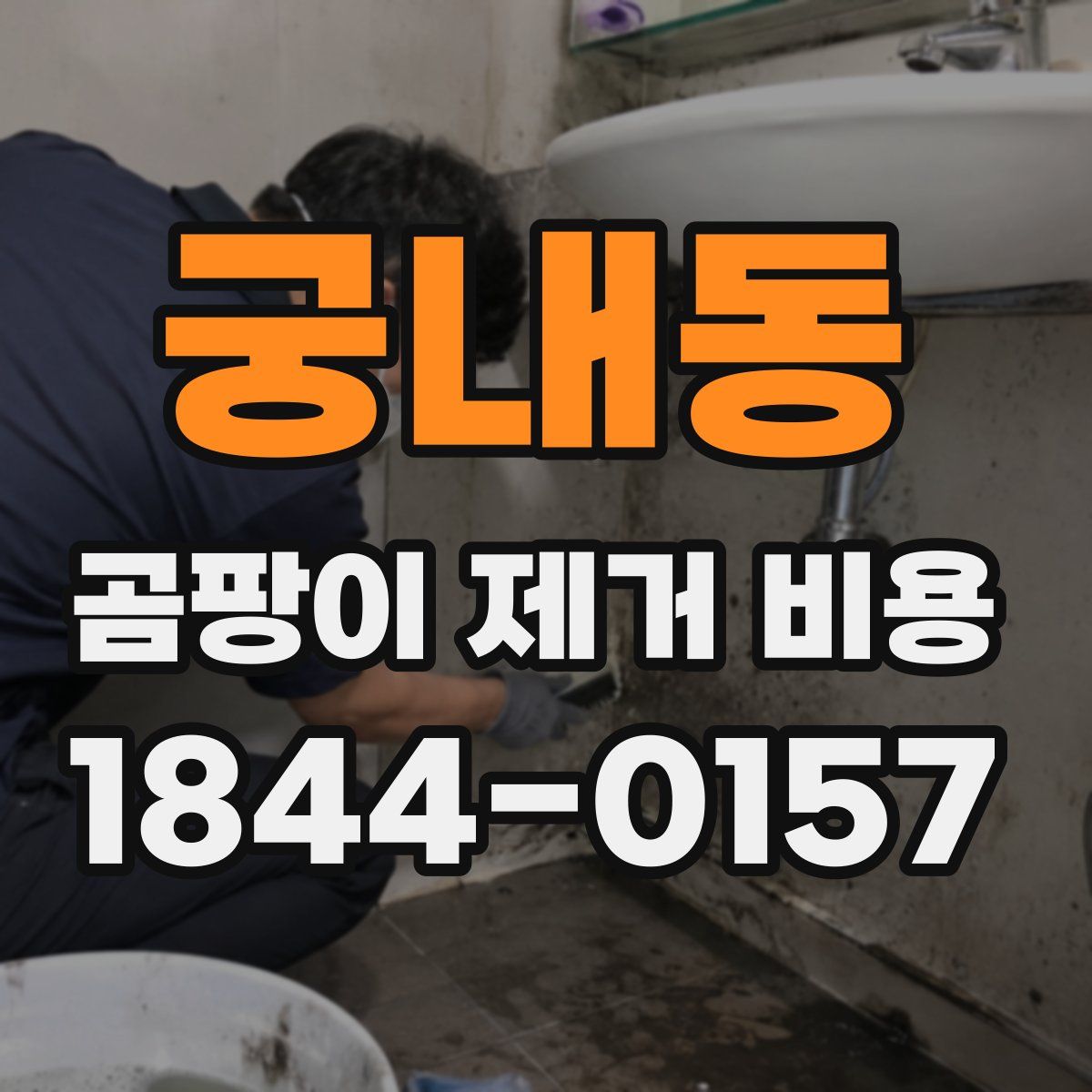 궁내동 곰팡이 제거 비용