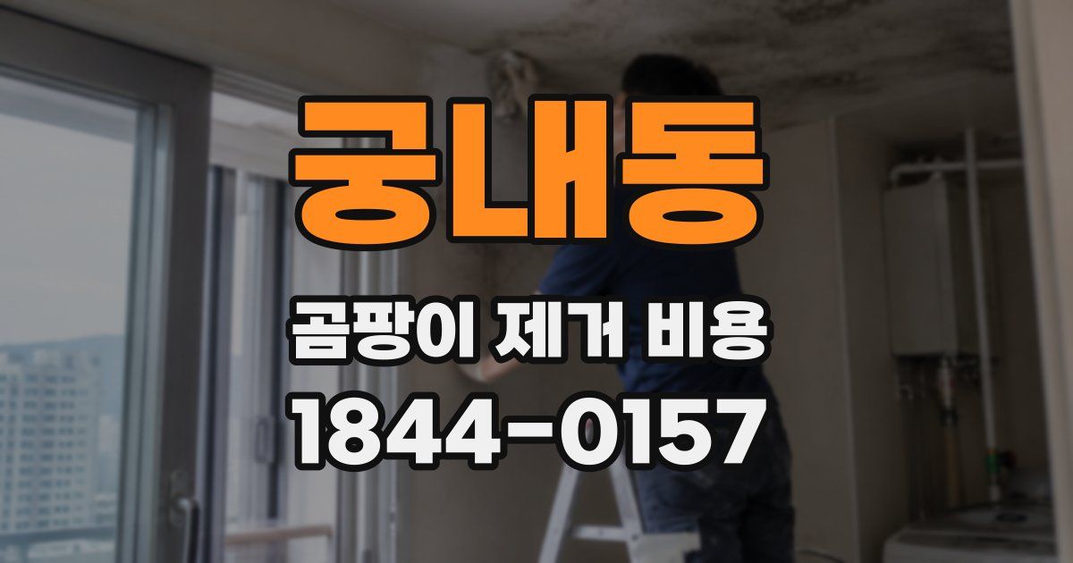 궁내동 곰팡이 제거 비용