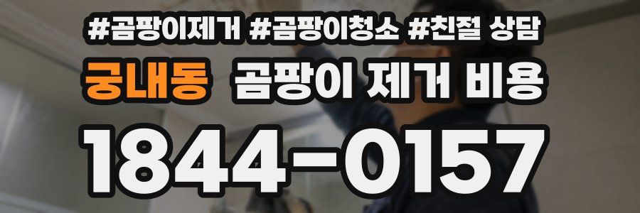 궁내동 곰팡이 제거 비용