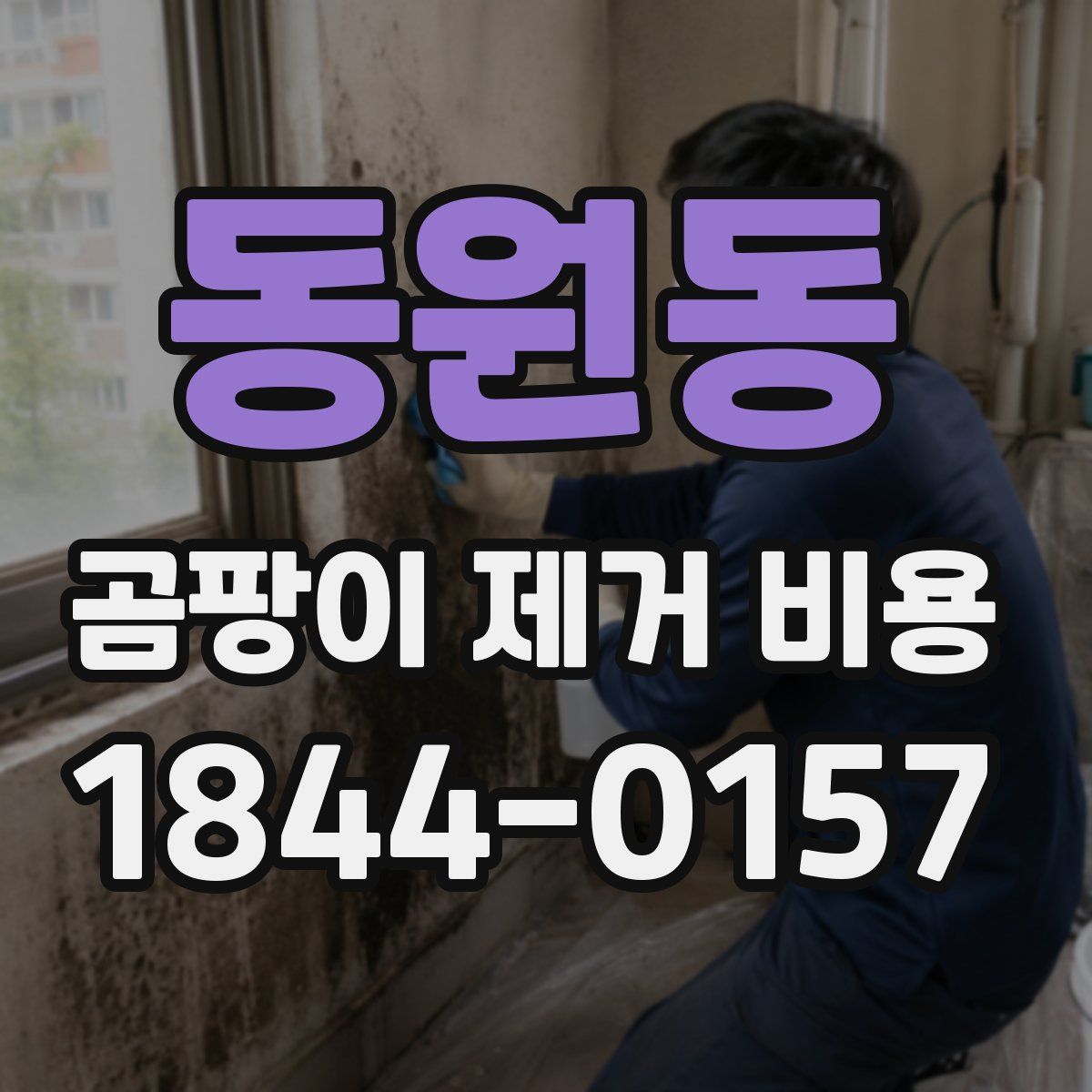 동원동 곰팡이 제거 비용