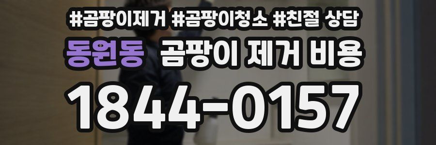 동원동 곰팡이 제거 비용