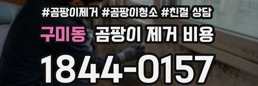 구미동 곰팡이 제거 비용