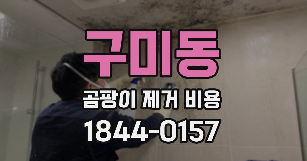 구미동 곰팡이 제거 비용
