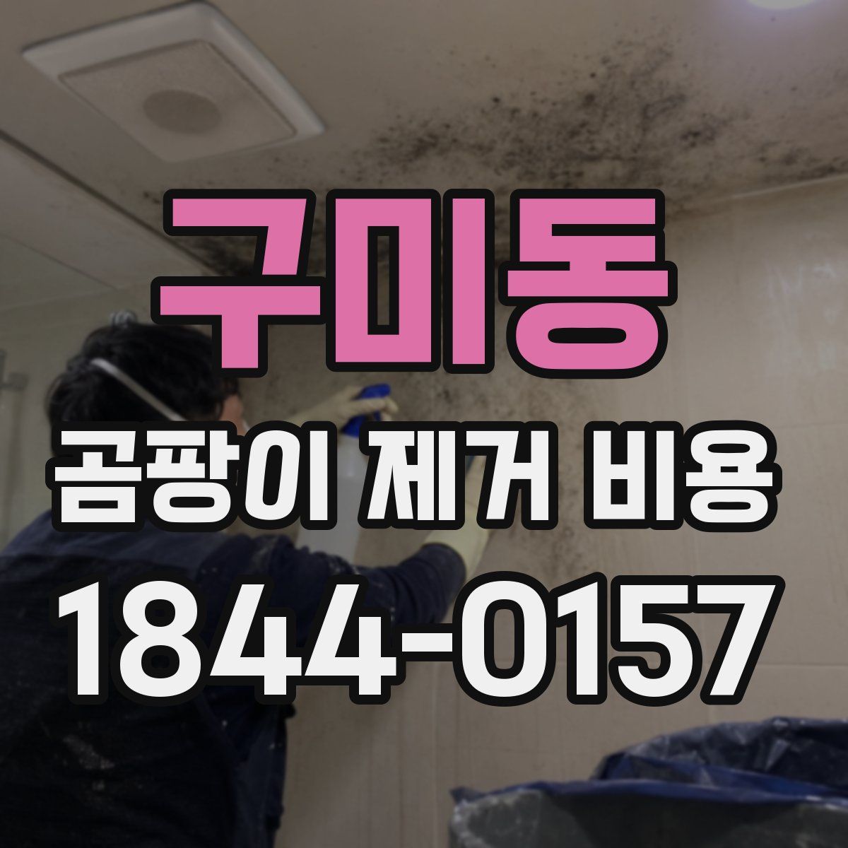 구미동 곰팡이 제거 비용