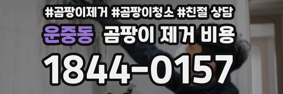 운중동 곰팡이 제거 비용