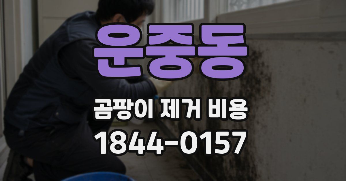 운중동 곰팡이 제거 비용