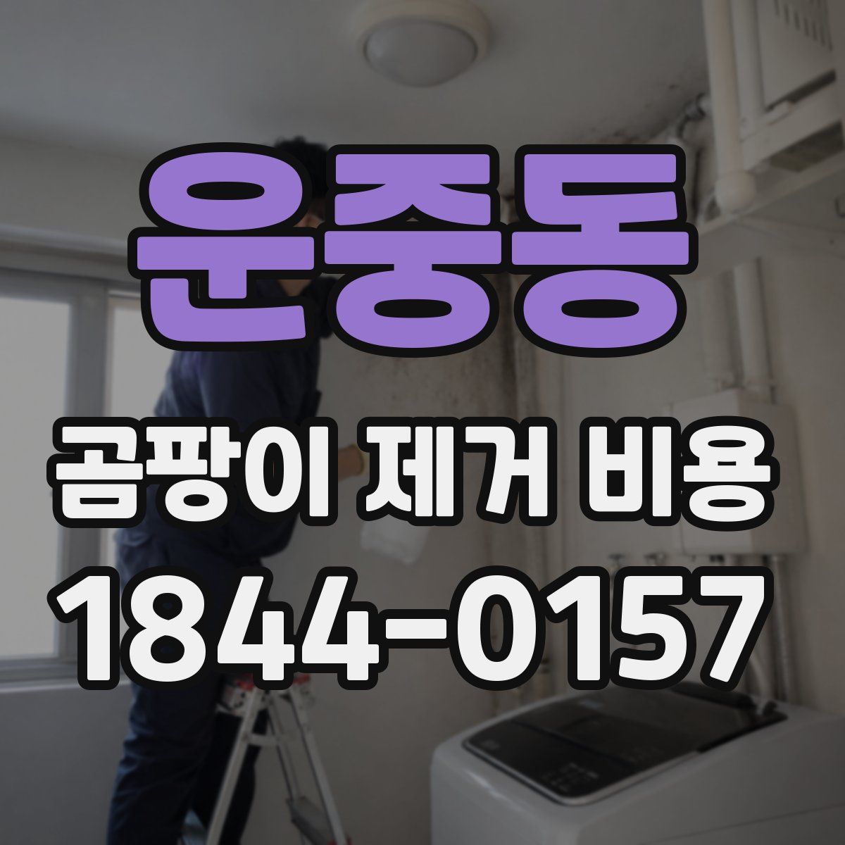 운중동 곰팡이 제거 비용