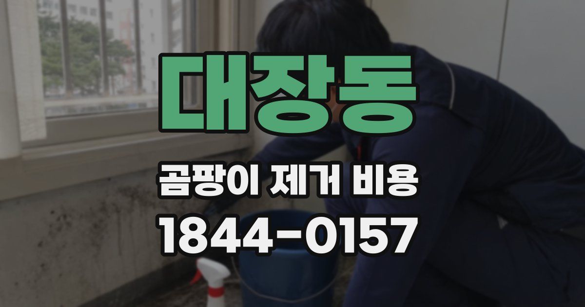 대장동 곰팡이 제거 비용