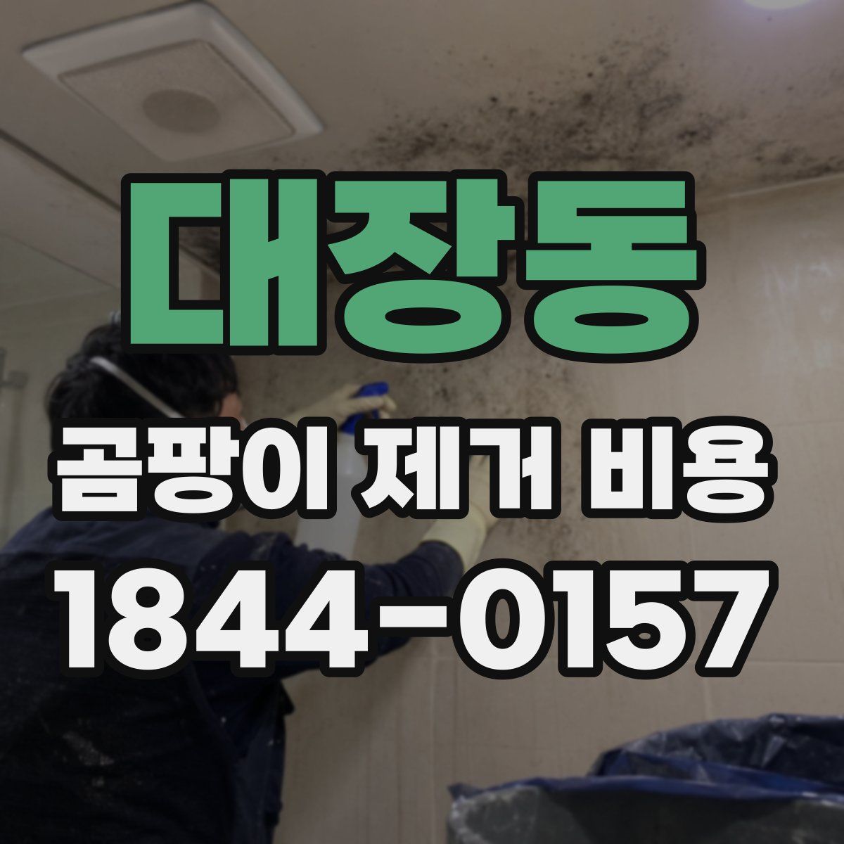대장동 곰팡이 제거 비용
