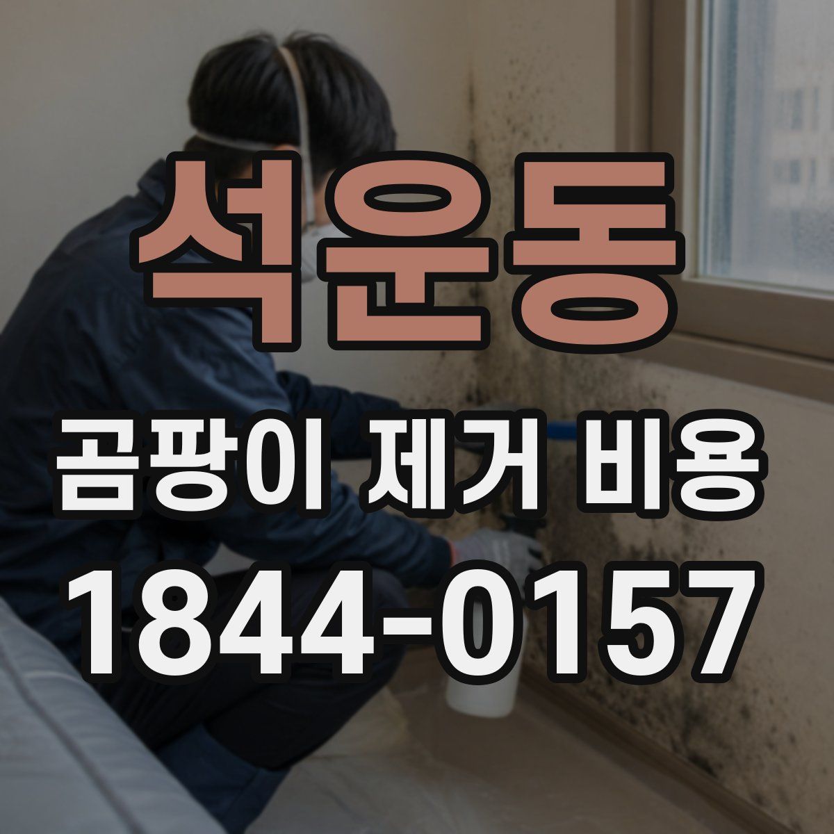 석운동 곰팡이 제거 비용