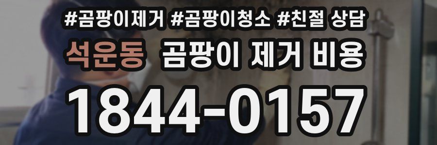 석운동 곰팡이 제거 비용