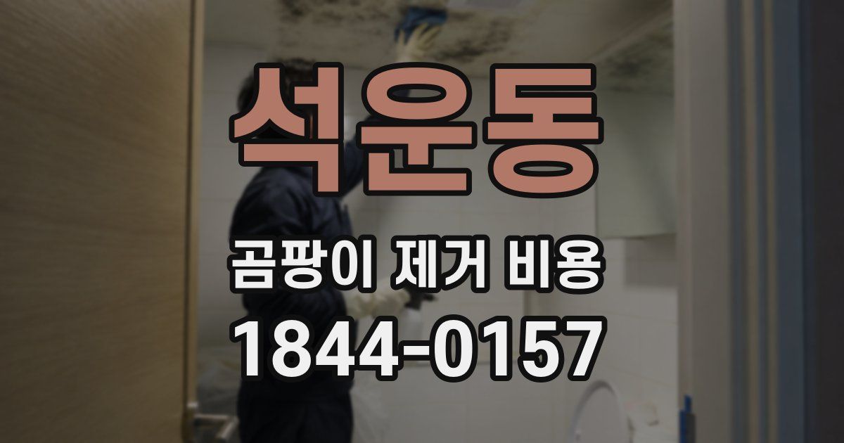 석운동 곰팡이 제거 비용