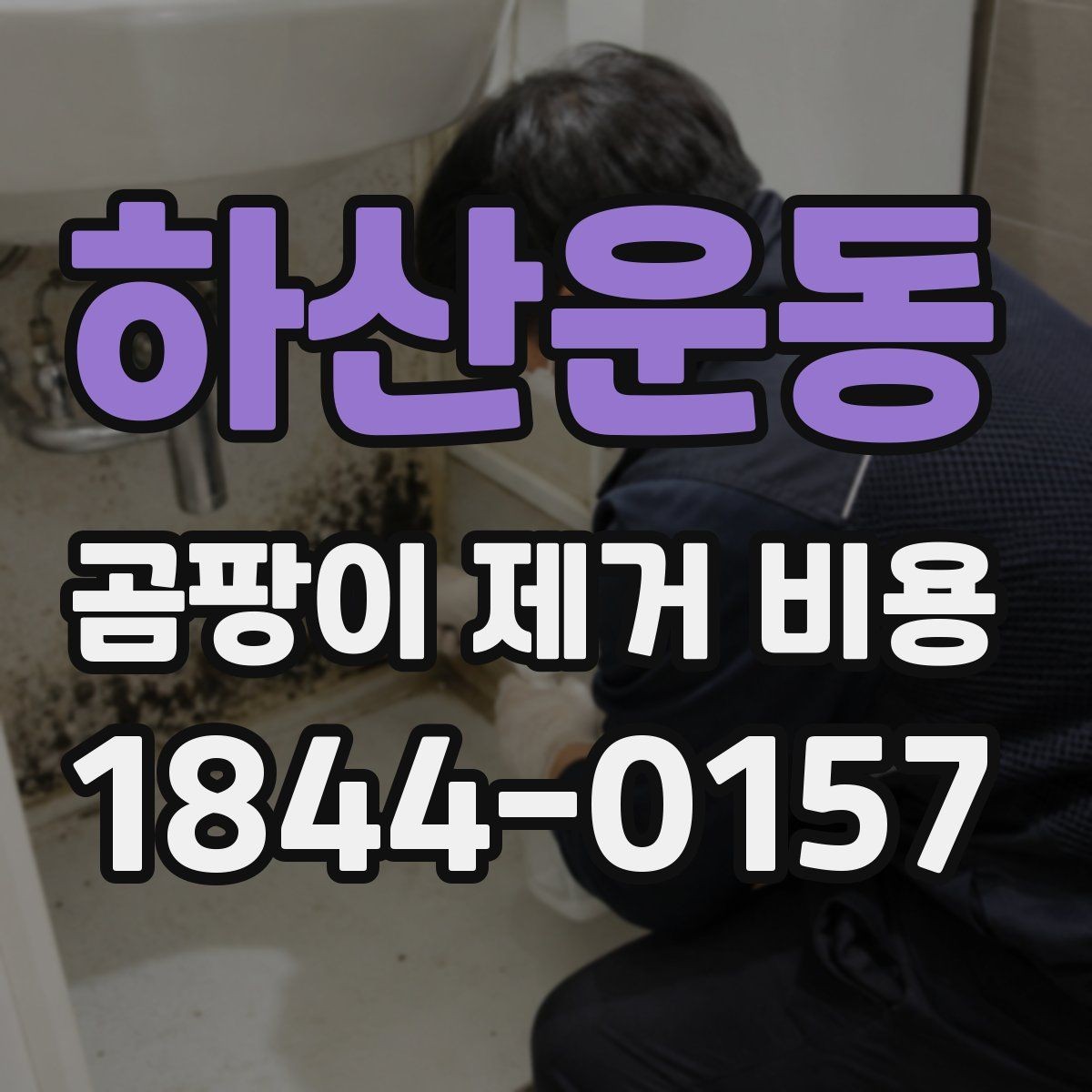 하산운동 곰팡이 제거 비용 비교 시 피해야 할 오해