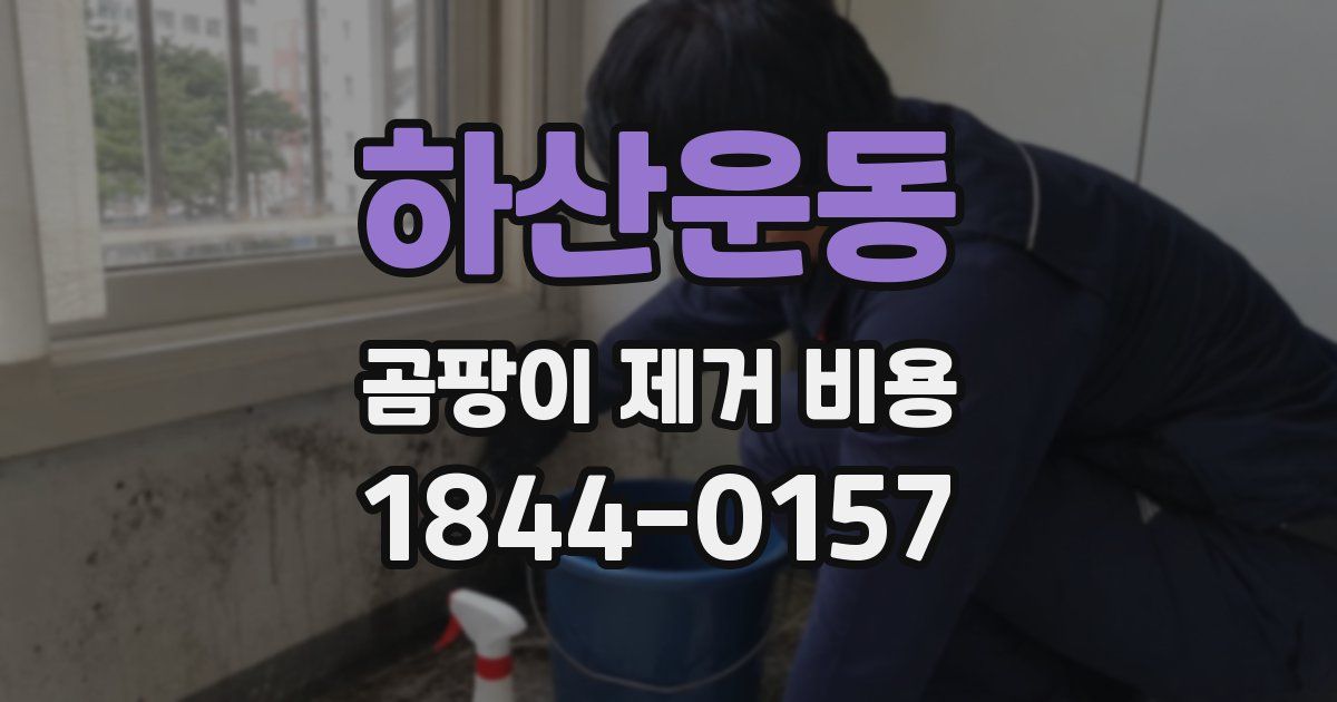 하산운동 곰팡이 제거 비용