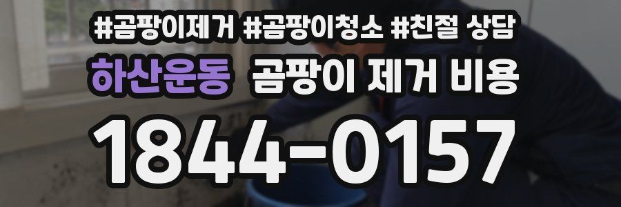 하산운동 곰팡이 제거 비용