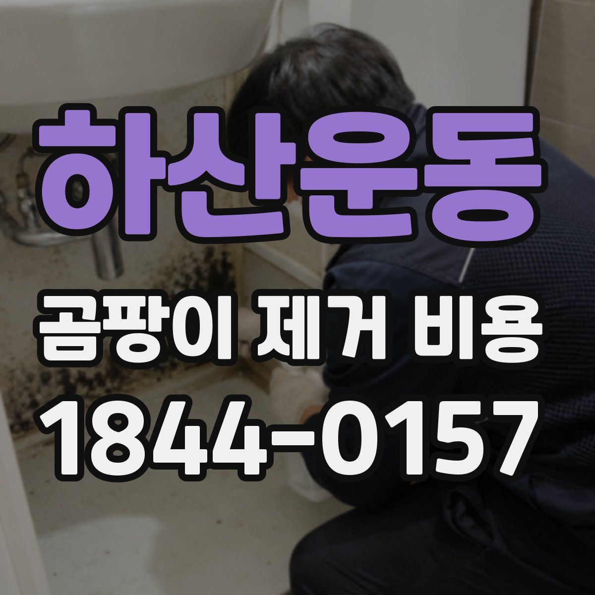 하산운동 곰팡이 제거 비용