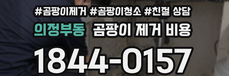 의정부동 곰팡이 제거 비용