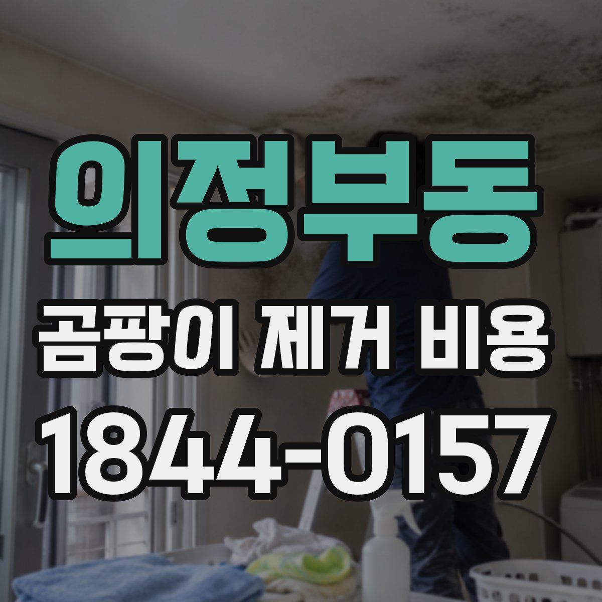 의정부동 곰팡이 제거 비용