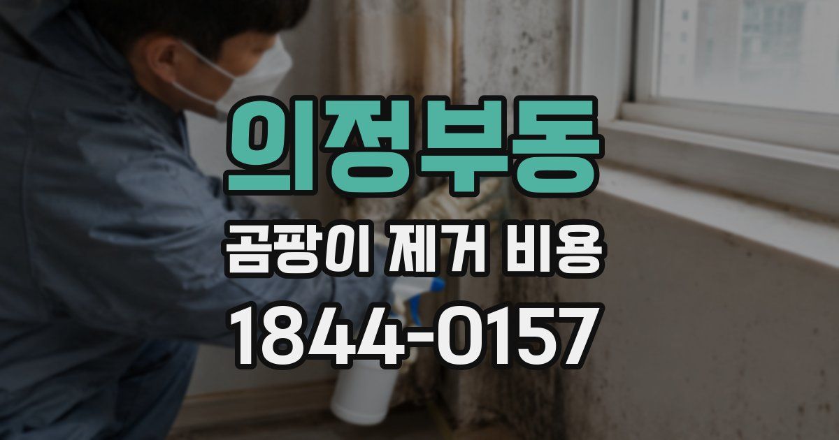 의정부동 곰팡이 제거 비용